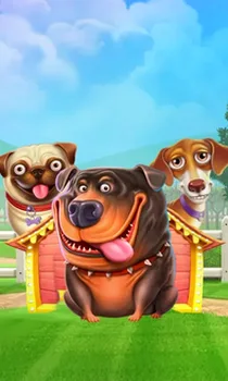 The Dog House